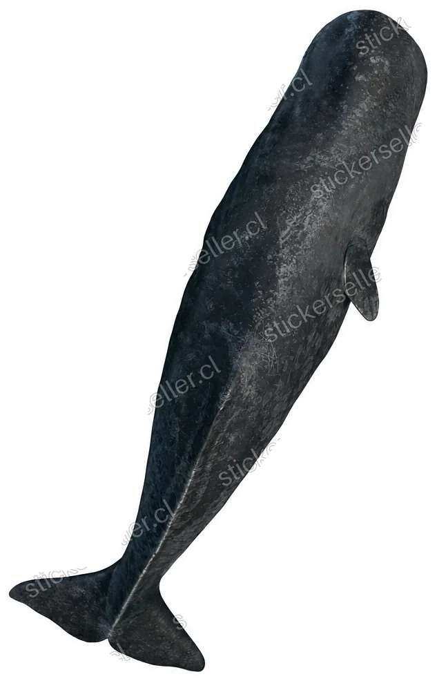 45