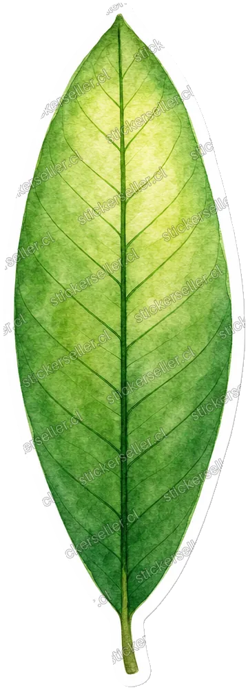 46