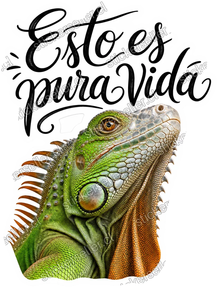 Sticker de una iguana real verde y café-anaranjado en perfil, con la frase «Esto es pura vida» en cursiva negra arriba.