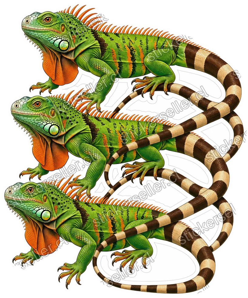 Sticker de tres iguanas idénticas verde y naranja apiladas en diagonal, con las colas bandeadas entrelazadas.