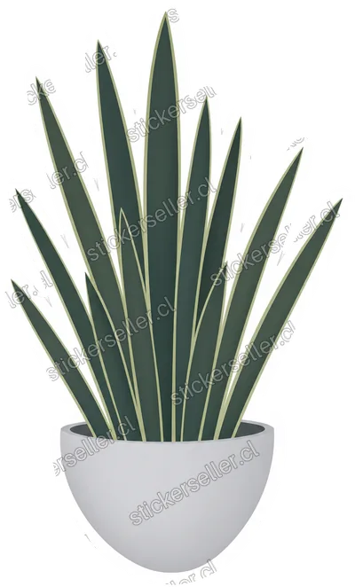 Plantitas