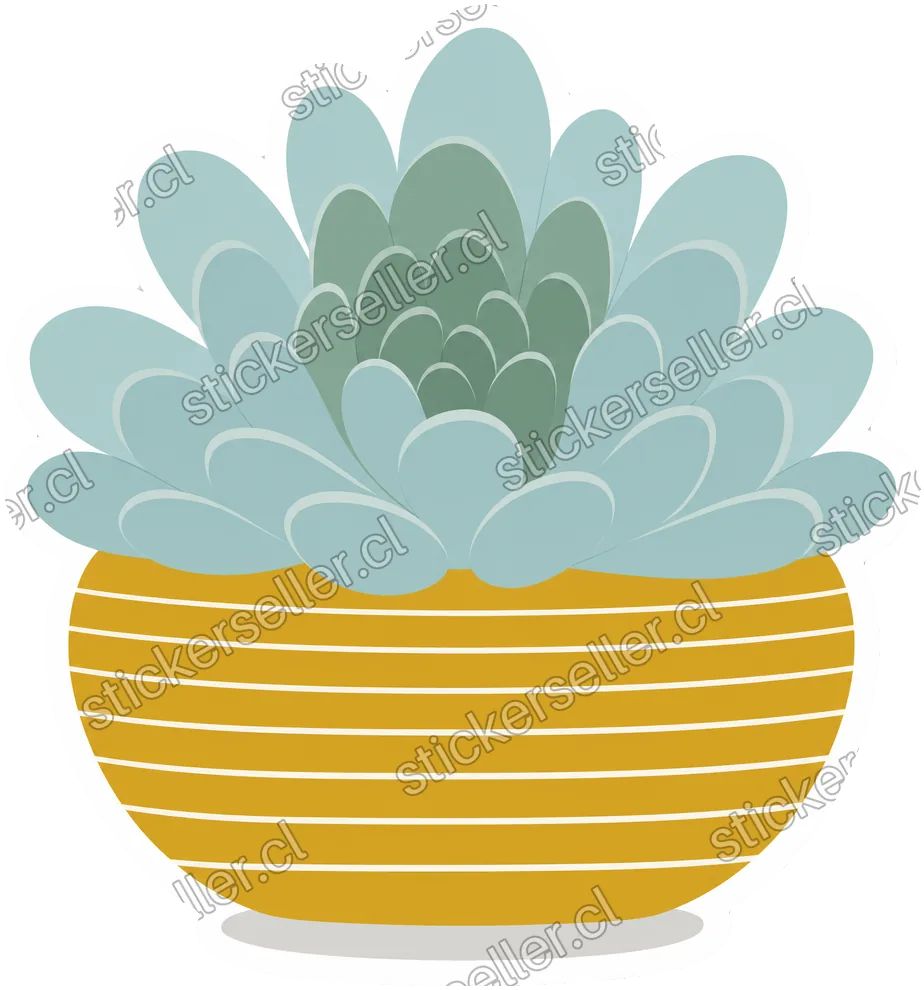 51