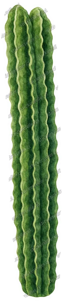 36