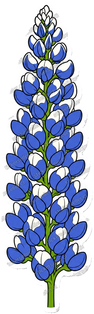 47